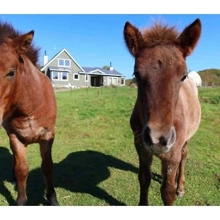 Farm Inn Torch B - Vacation Stay 92724V Tsurui Esterno foto