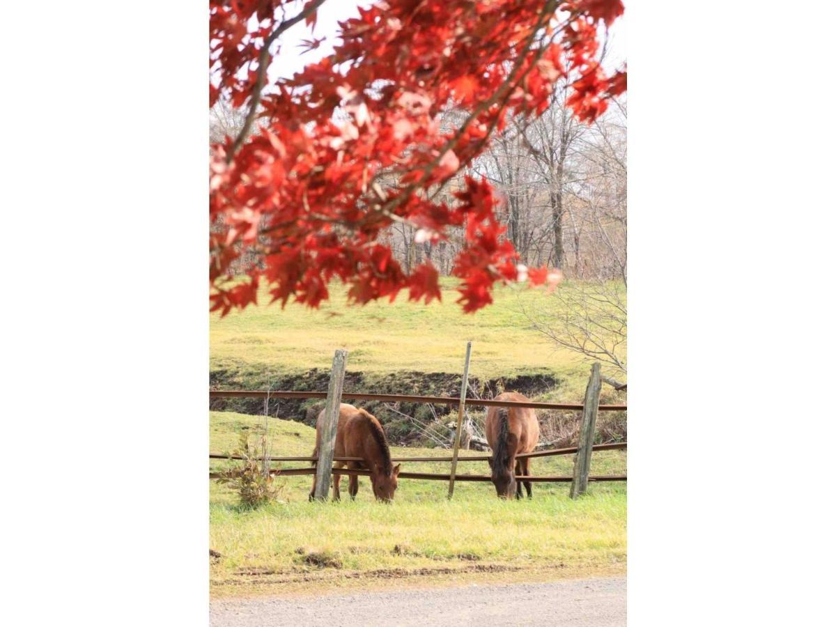 Farm Inn Torch B - Vacation Stay 92724V Tsurui Esterno foto