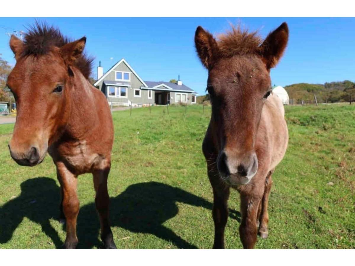 Farm Inn Torch B - Vacation Stay 92724V Tsurui Esterno foto
